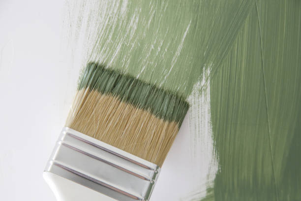 Best Mold Remediation for Healthcare Facilities  in Whiteman Af, MO