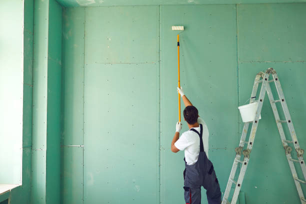 Best Environmental Consulting for Mold Prevention  in Whiteman Af, MO