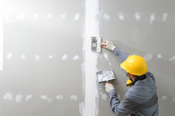 Best Industrial Mold Remediation  in Whiteman Af, MO