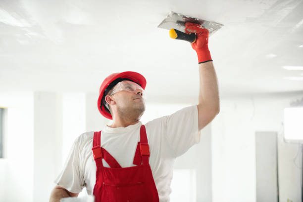 Professional Mold Removal in Whiteman Af, MO